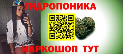 PSILOCYBIN Туймазы