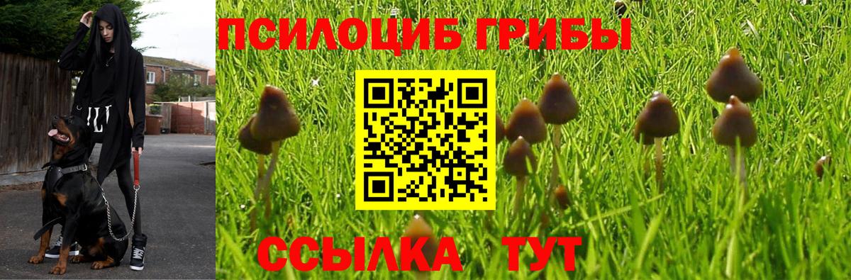 Гусь-Хрустальный  Псилоцибиновые грибы MAGIC MUSHROOMS  Вход с VPN 